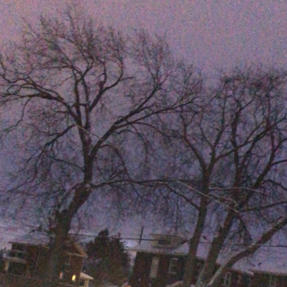 Meet your Posher, Sophia